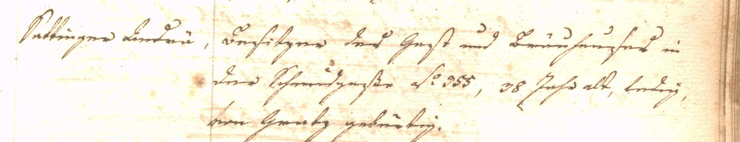 Bürgerbuch Graz 1821: Sattinger Andrae, Besitzer des Gast und Bräuhauses in der Schmidgasse N. 355, 38 Jahr alt, ledig, von Grätz gebürtig